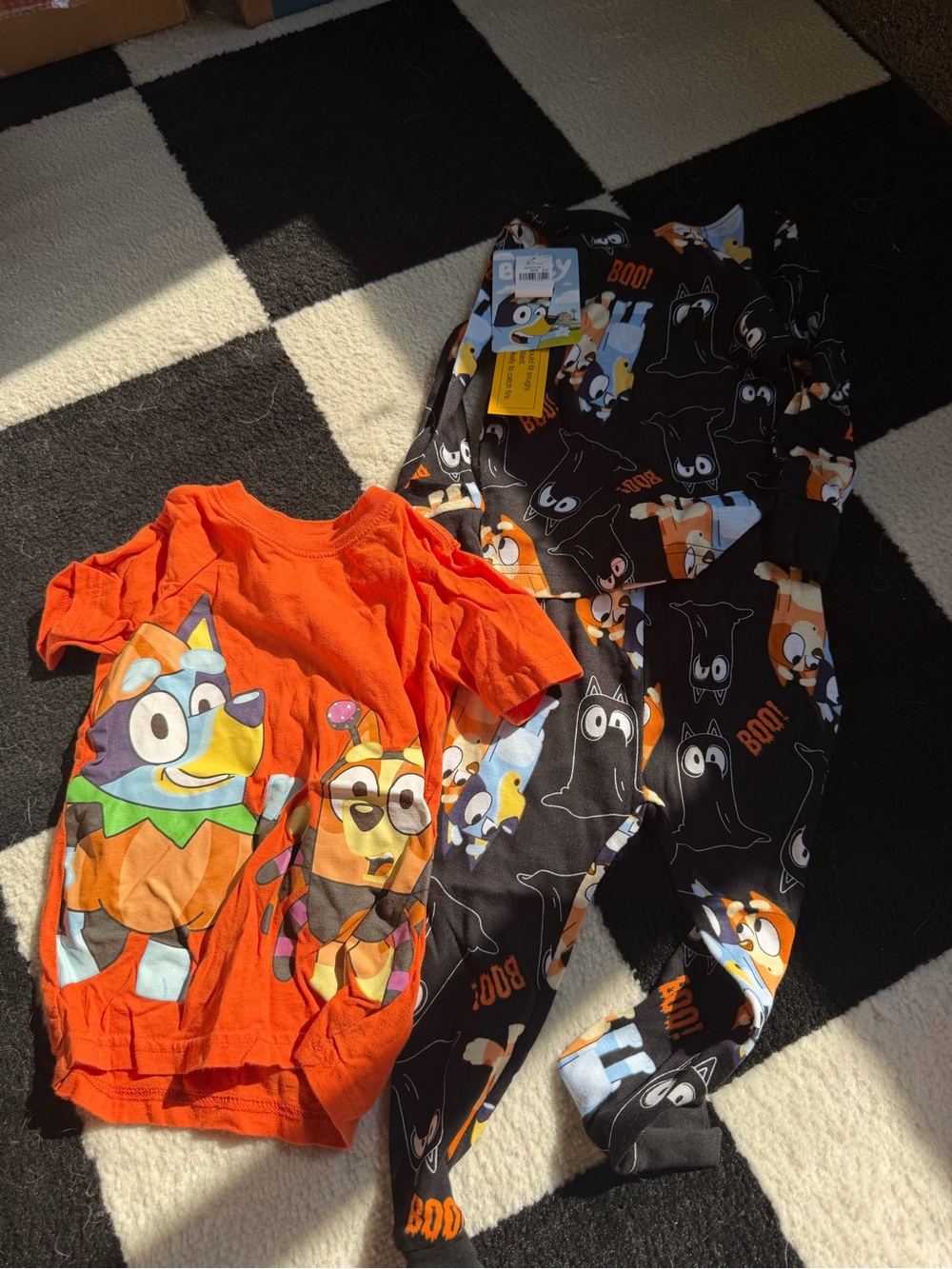 Bluey Halloween